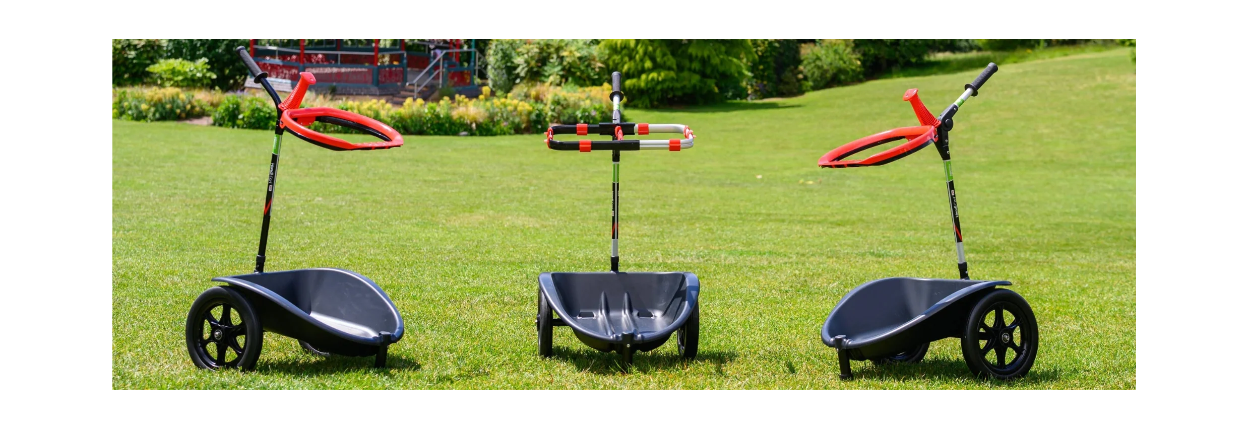 Litter Carts