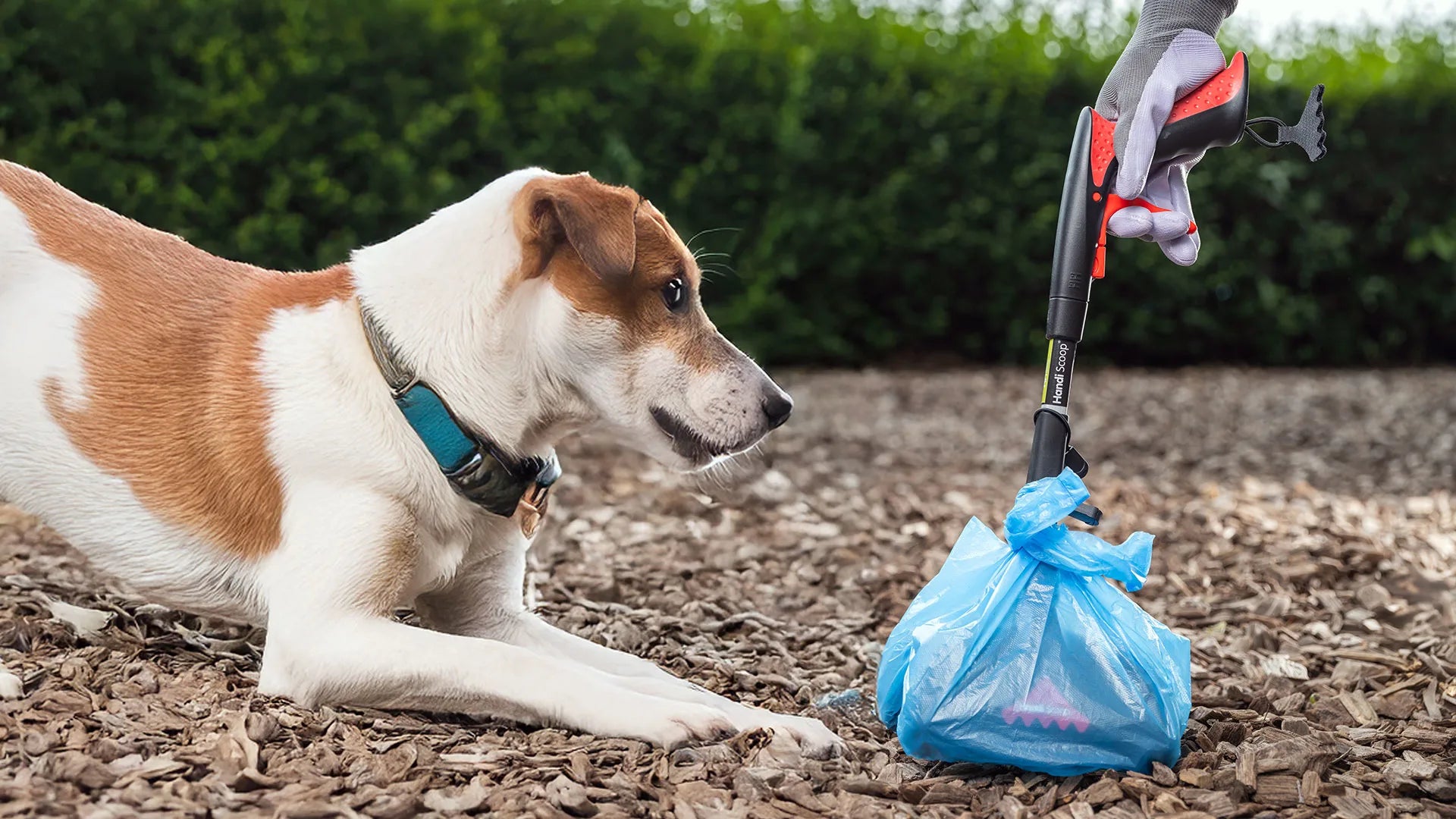 Person picking up animal waste with a Handi Scoop pooper scooper.