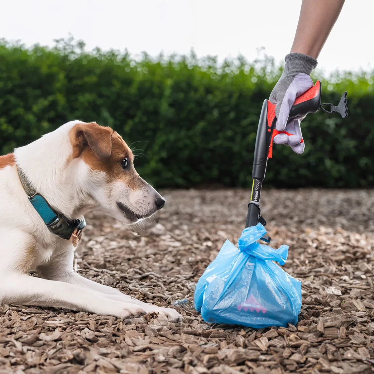 Person collection their pets waste with Handi Scoop Pro pooper scooper.